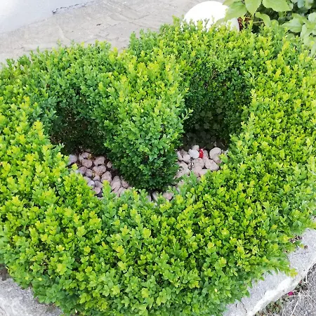 Konukevi Zur Schmiede Berg im Drautal