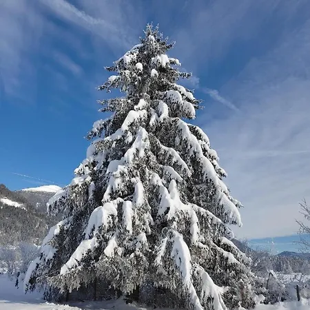 Zur Schmiede Berg im Drautal