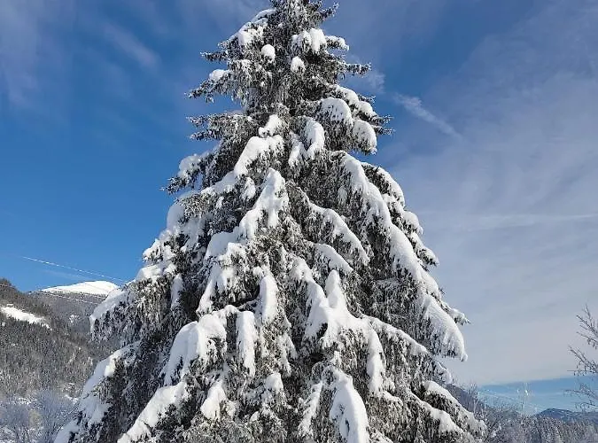 Zur Schmiede Berg im Drautal